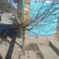 دکه با مجوز قیمت توافقی