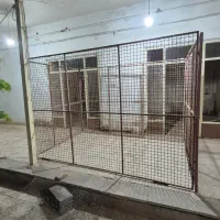 قفس آهنی سگ و کفتر