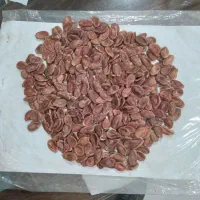 تخمه هندوانه بذری کیلوی ۶۰۰هزار تومن