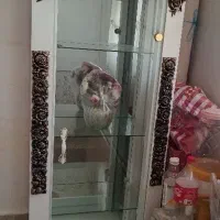 جاکفشی و بوفه