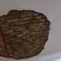گچکاری لکه گیری نم زدگی تخریب بازسازی تمام نقاط