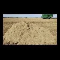 کاه به فروش میرسد