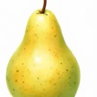 کارگر چیدن میوه هستیم دونفر آقا هستیم