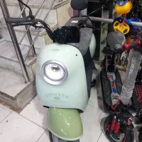 وسپا برقی بزرگسال