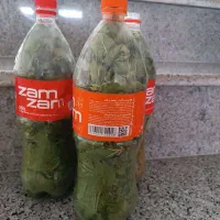 برگ مو تازه هر بطری نوشابه 150تومان