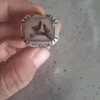 شجر