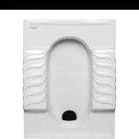 پخش عمده و تکی توالت ایرانی تخت و طبی