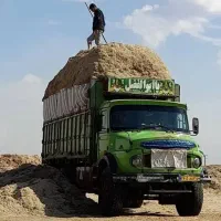 کاه 1|گل و گیاه طبیعی|تهران, مشیریه|دیوار