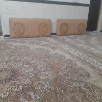 ششعددپشتی