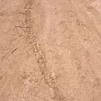 فروش-زمین-146-متری-سند-6دانگ-بر-خیابان-اصلی