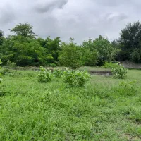 509متر-زمین-مسکونی-رودبارسرای-بالا-رضوانشهر