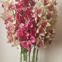 گل و گلدان