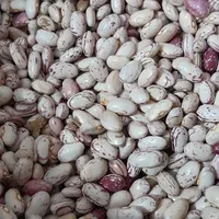 لوبیا خوراک محلی و درجه یک|خوردنی و آشامیدنی|خان ببین, |دیوار