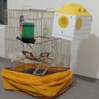 قفس پرنده