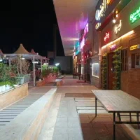 نیروی کار