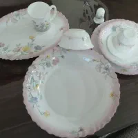 سرویس آرکوپال اصل فرانسه