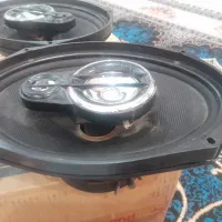 ظبط وباندپایونر