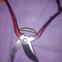 قیچی باغبانی نو
