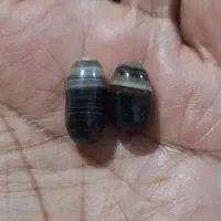 مهره بردسلیمانی