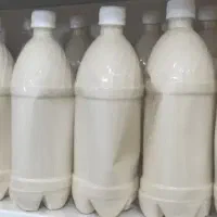 کشک تازه گوسفندی پخت روز
