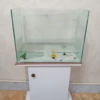 اکواریوم با میز