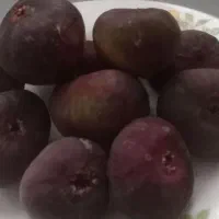 انجیر سیاه