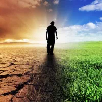 مشاوره رایگان برای ترک‌ مواد
