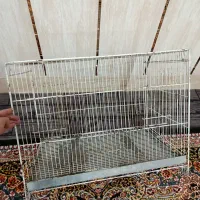قفس سالنی