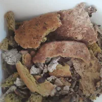 نون خشک تمیزخونگی