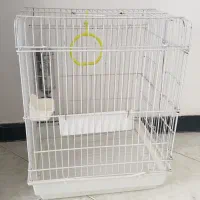 قفس