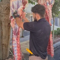 سلاخ گوساله با کادری مجرب