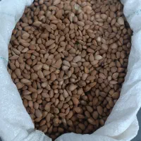 تازه و تمیز