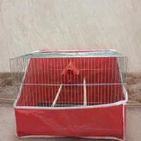 قفس ساده