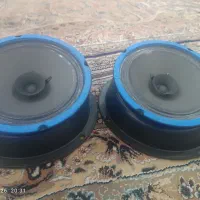 میدرنج سایز ۶ نونو