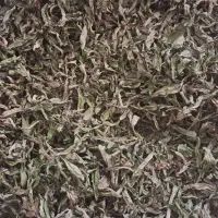نعنا خشک تازه