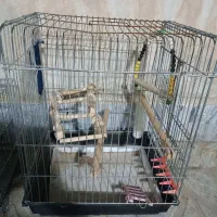 قفس|لوازم جانبی حیوانات|کوهدشت, |دیوار