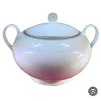 سوپ خوری زرین