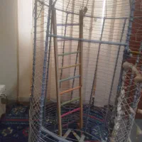 قفس