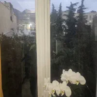۱۲۰ متر دو خواب تاپ لوکیشن نیاوران|فروش آپارتمان|تهران, جماران (نیاوران)|دیوار