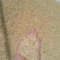 جو درجه یک