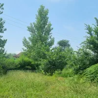 زمین-باغی-با-کاربری-مسکونی-سند-تک-برگ