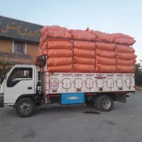کاه|لوازم جانبی حیوانات|اصفهان, دانشگاه اصفهان|دیوار