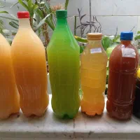 سرکه خانگی