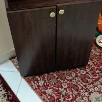 جاکفشی