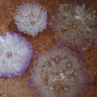 سرویس والتراصل المان وظروف همگی اکبند