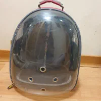 کوله حمل گربه، سگ کوچک، پرنده