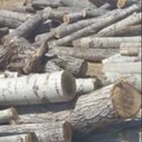 خرید و فروش چوپ