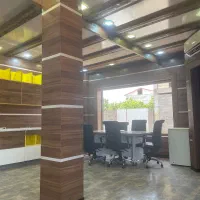 بازاریاب حرفه ای