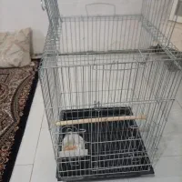 قفس سالم
