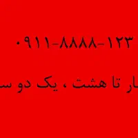 ۰۹۱۱-۸۸۸۸-۱۲۳